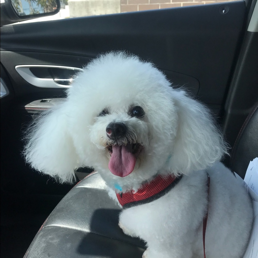 Meet your Posher, Emma